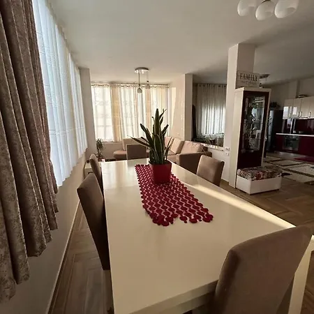 Guci Tirana