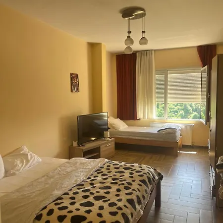 Guci Tirana